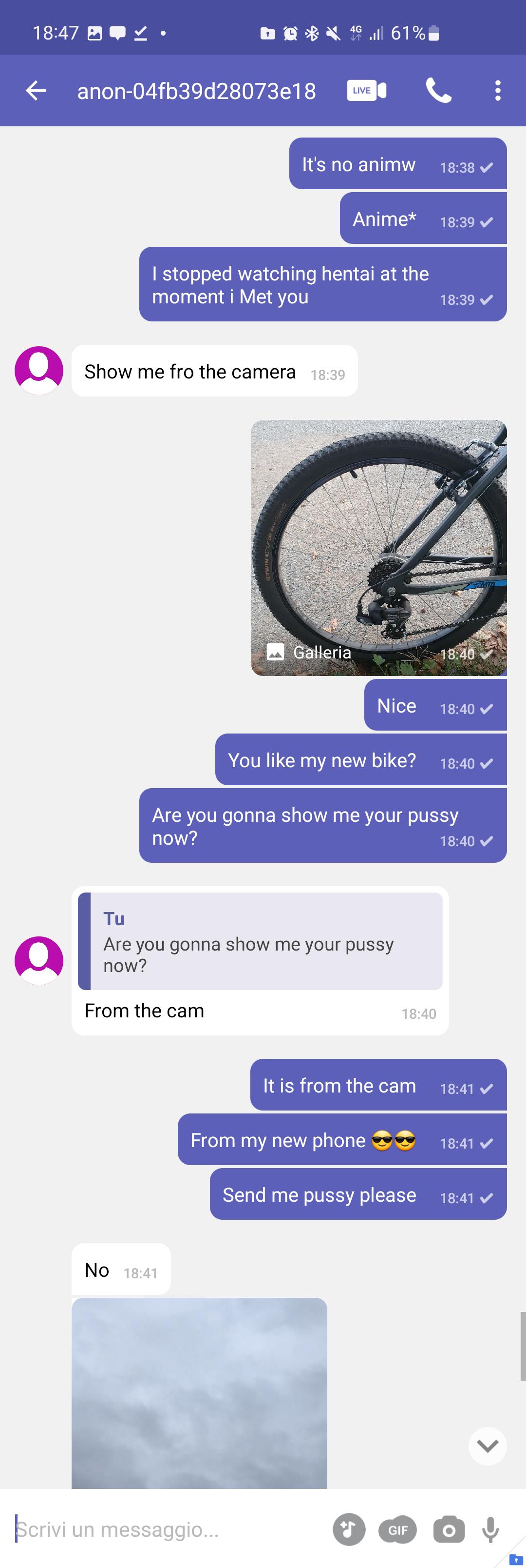 Scambaiting chat screenshots showing a conversation with a ghosted user on Instagram