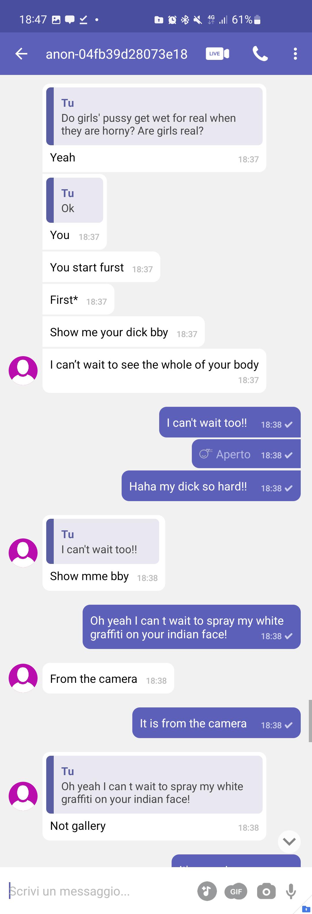 Scambaiting chat screenshots showing a conversation with a ghosted user on Instagram