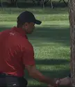 Tiger Shaking Hands With The Woods