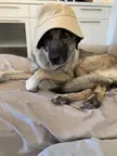 She thinks she’s hip