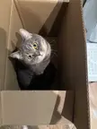 Latest Amazon delivery
