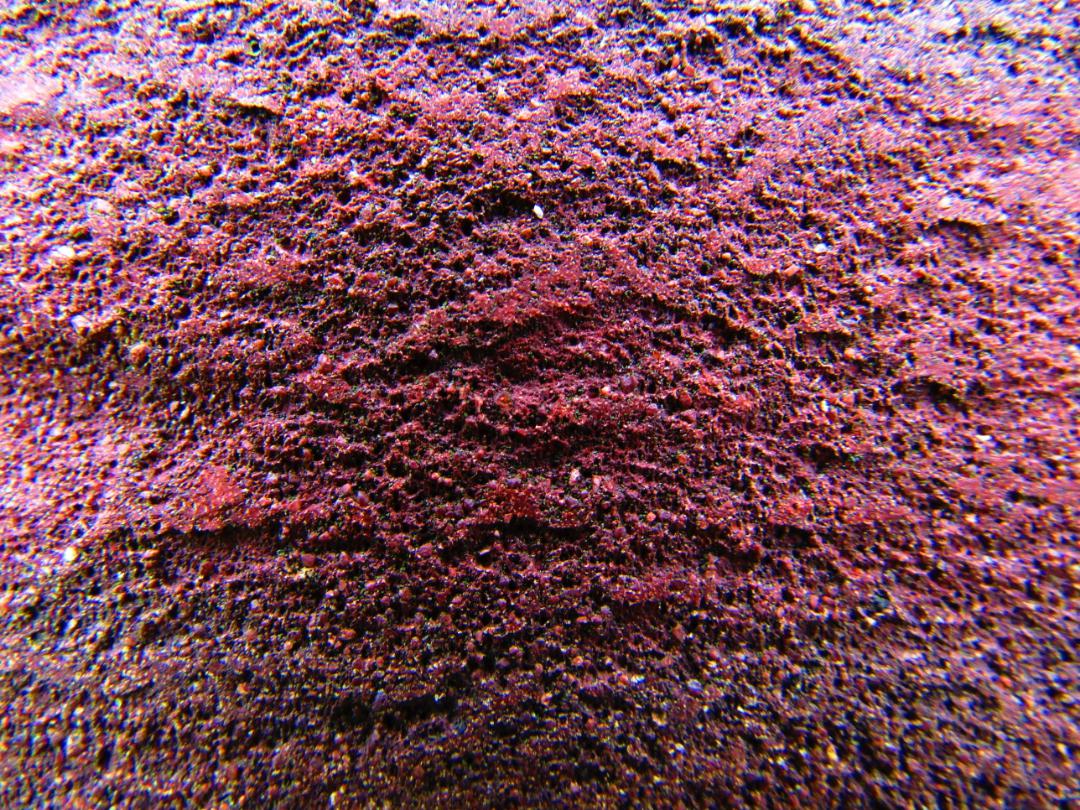 a brick.