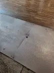 You can get stepped on only so many times before it starts to take a toll on you it seems.