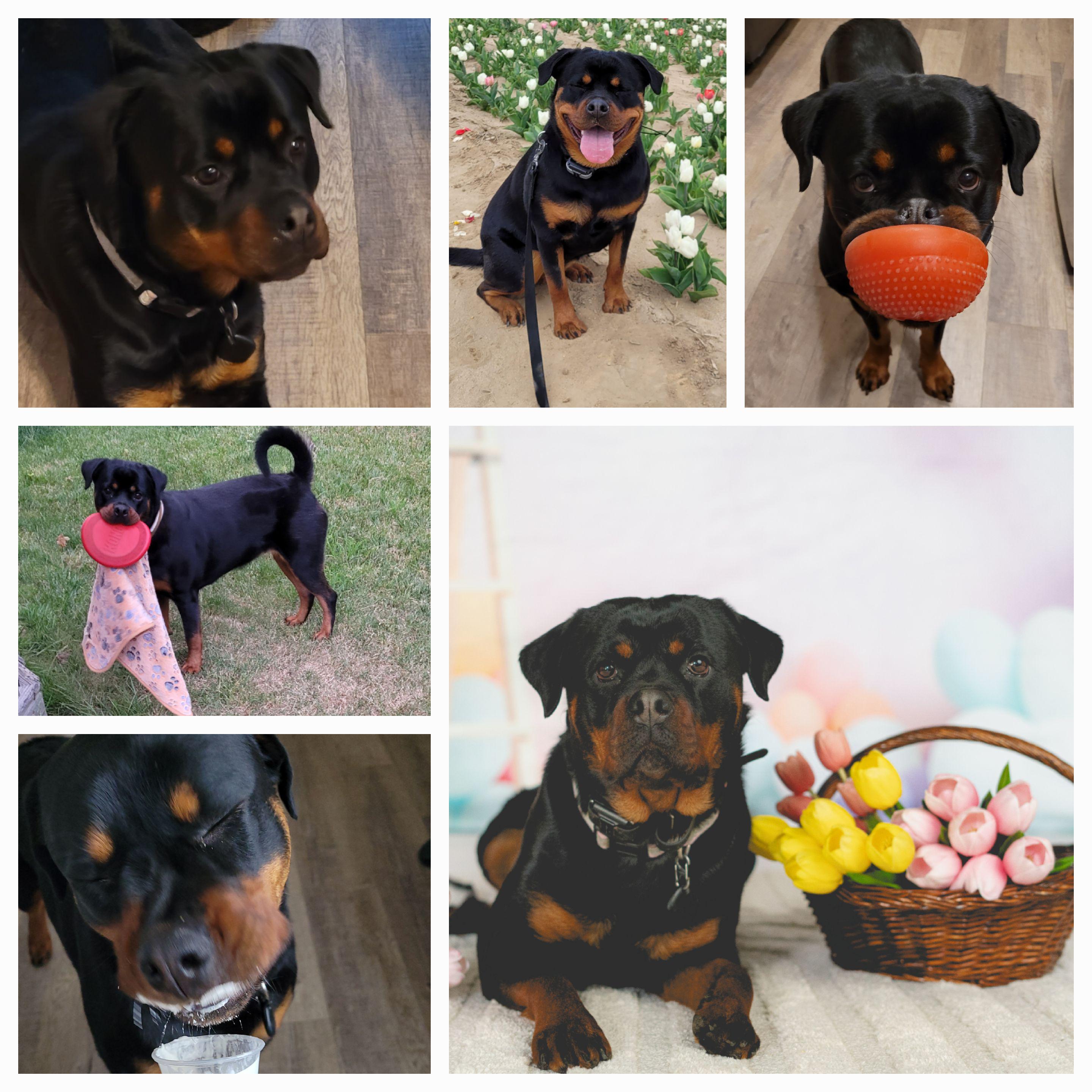 Pearly girl turns two!