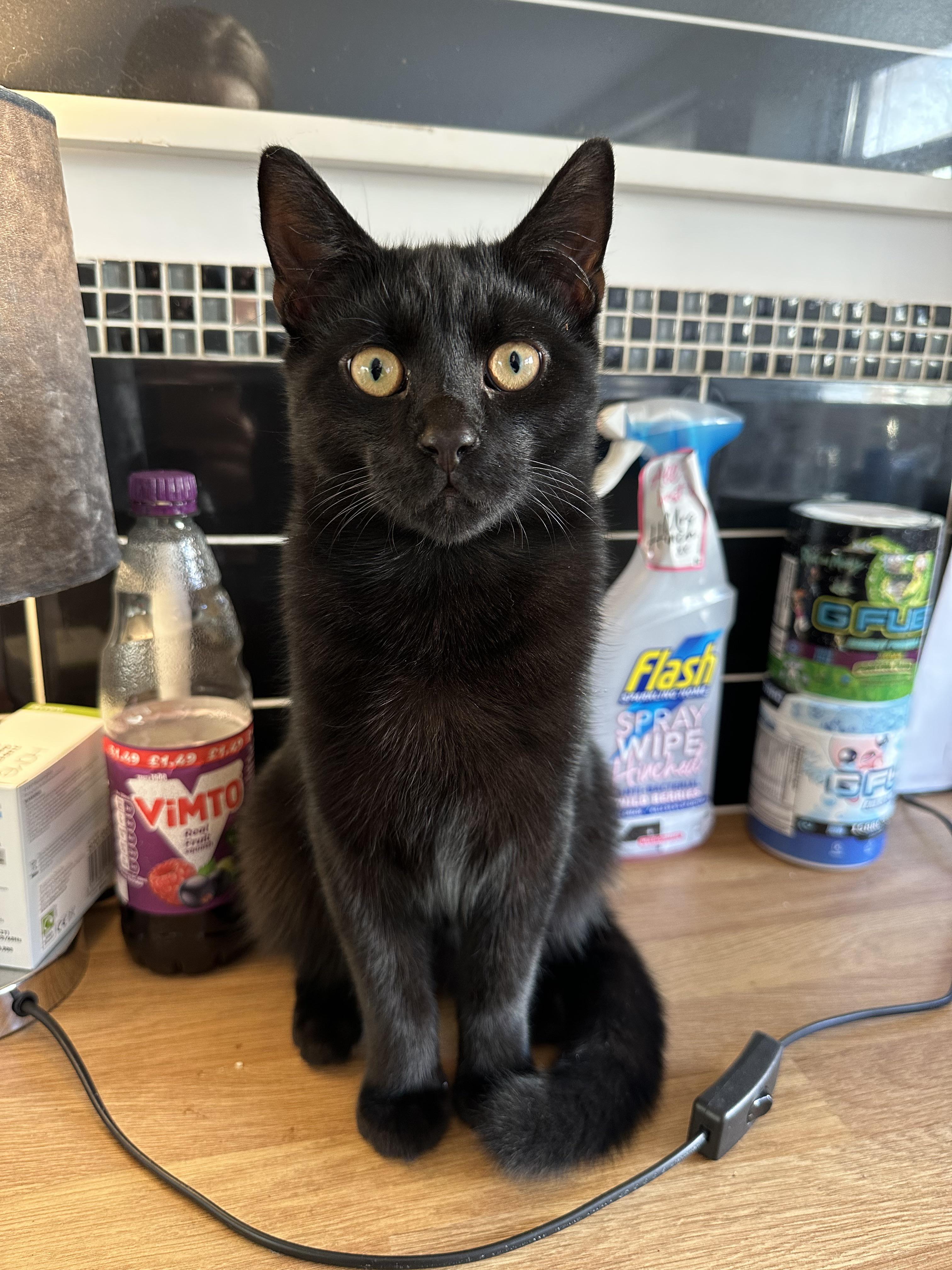 binx , the spooky boy