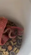 Close-up of pet treats, including a red jerky strip and kibble, inside a white container.