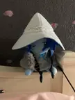 My ranni plush is here!