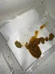 Help! my ferret’s poop looks a little abnormal TW: POOP