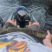 Caught a beautiful Northern Pike in Cable Lake in Michigan