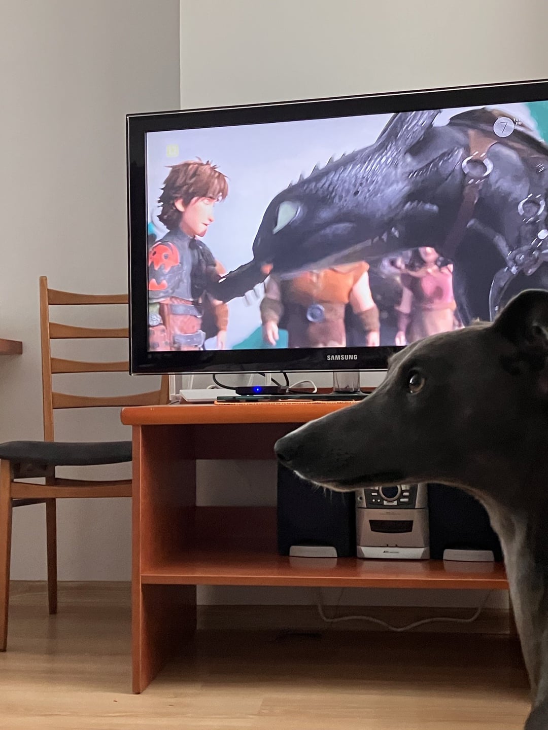 Whippets