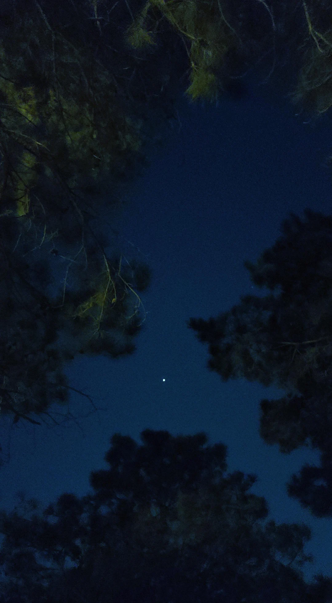 Jupiter Shining Oc Scrolller