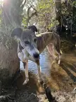 Her favourite cooling off spot.