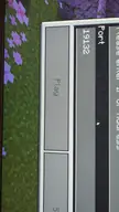 Why is this button greyed out when I try to add my server on Minecraft bedrock?