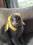 Bananaa... hat