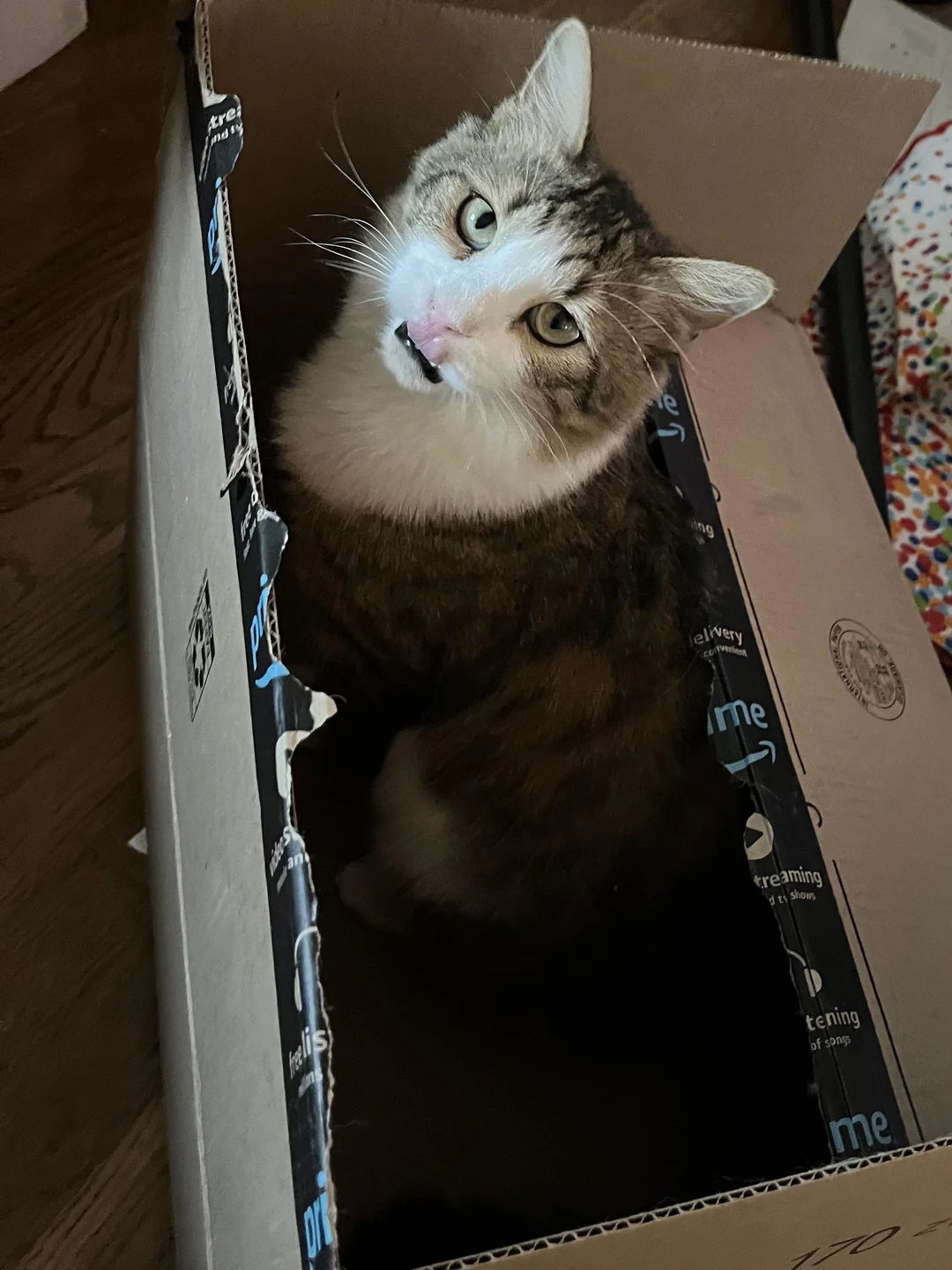 Box inspector | Scrolller