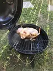 First rime grillin. How’d I do?