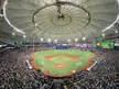 Tropicana Field. St. Petersburg, Florida