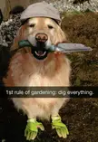 2nd rule: look at the mess you made