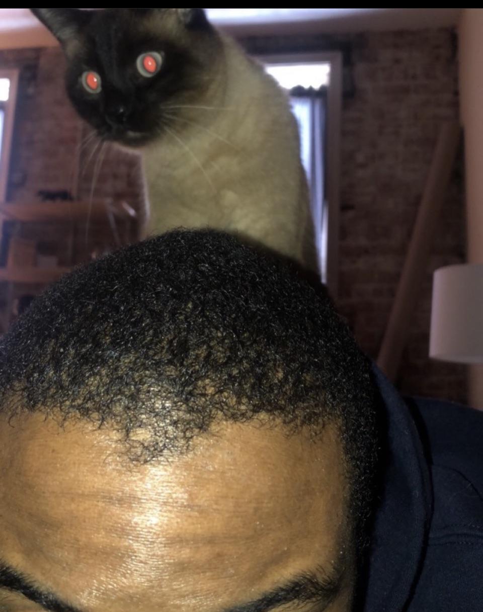 A man with short black hair and a Siamese cat, provided as cute cat pictures to draw.