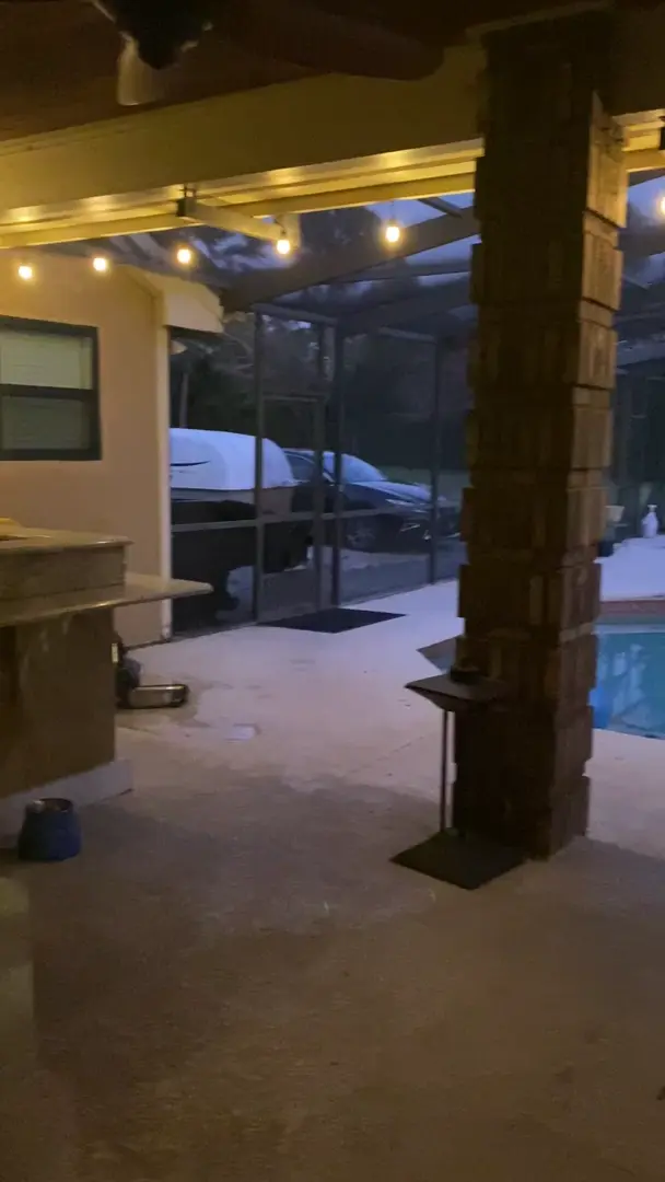 3 legged bear came for a visit.