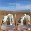 Aragonite calcite, Morocco 🇲🇦 [OD]