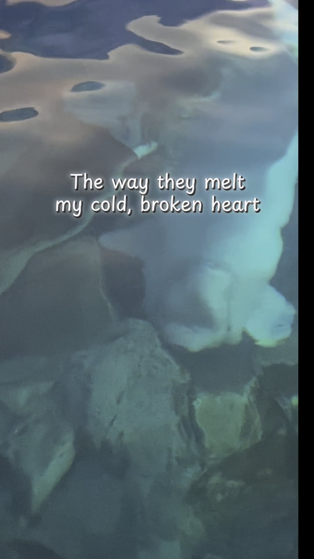 SeaWorld