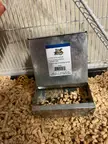 What do ya’ll do for keeping them from pooping in their food??
