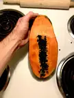 TIL papaya can be used as a meat tenderizer…for the real freaks in the room, freeze then thaw first so it’s papain enzyme releases it’s “pungent, yet offensive” odor. . .