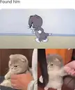 Real life counterpart