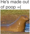 He’s made out of poop =(