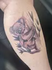 Koala Tattoo