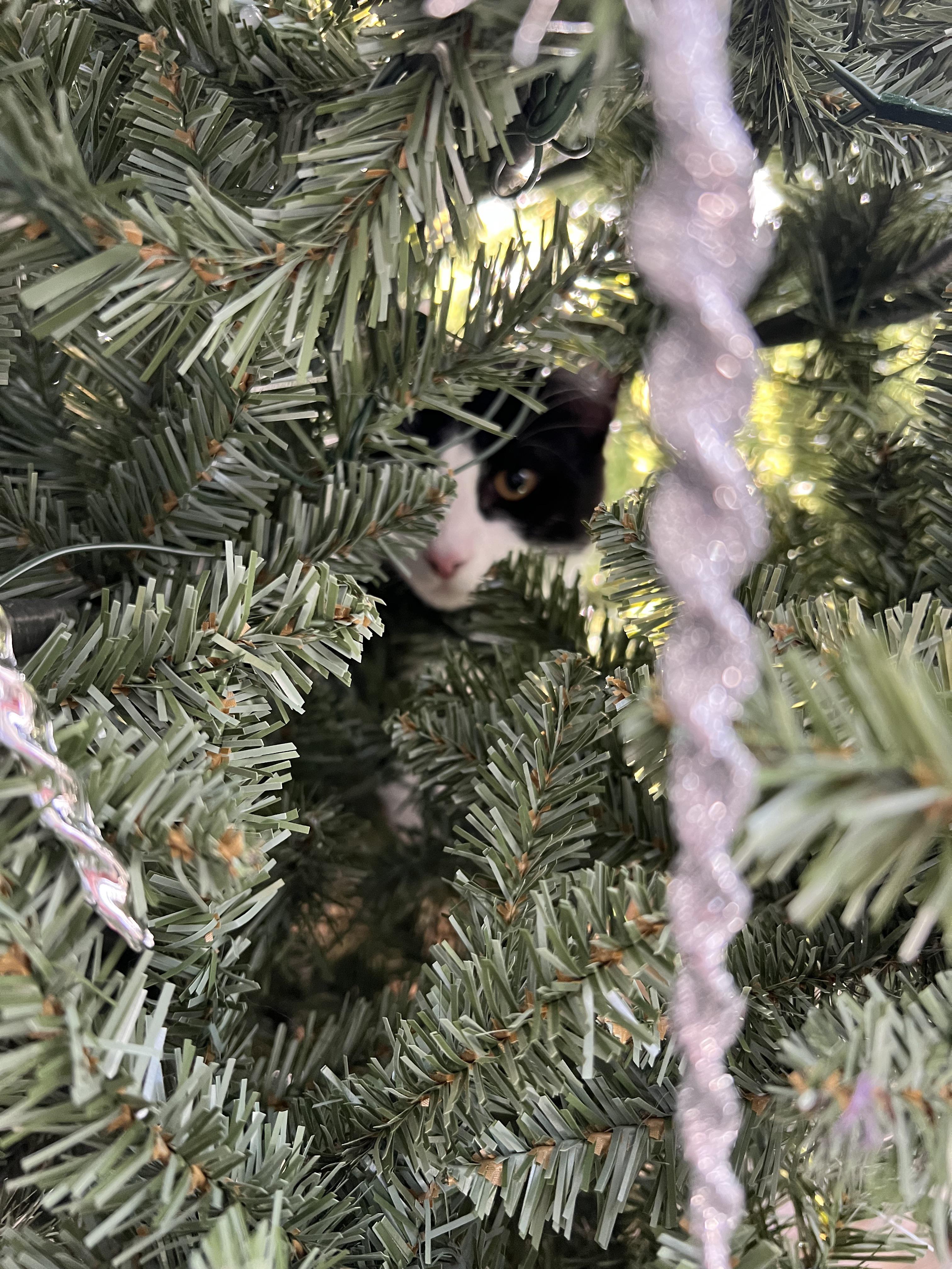 New Christmas Tree Decoration Scrolller