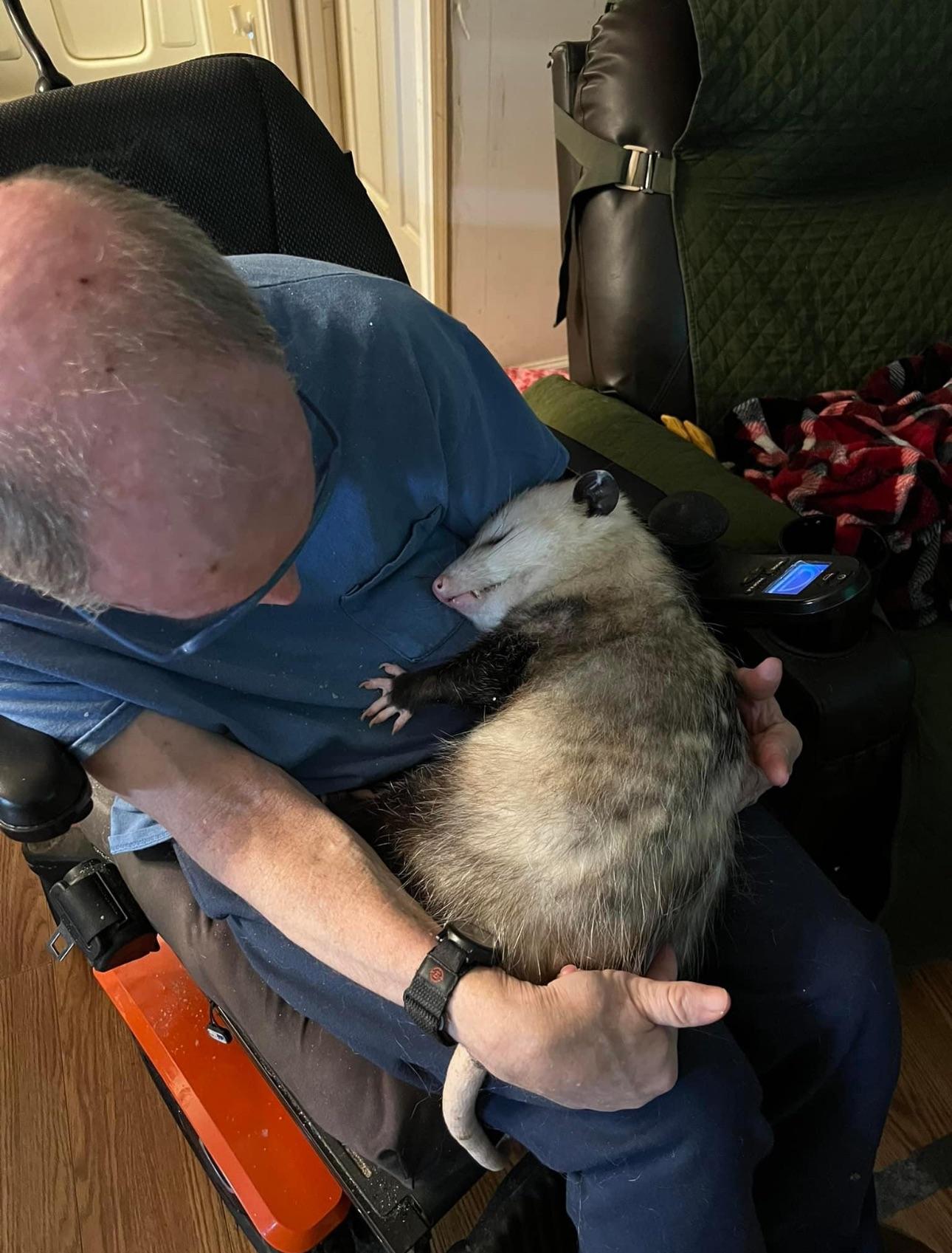 Just an opossum napping with his person