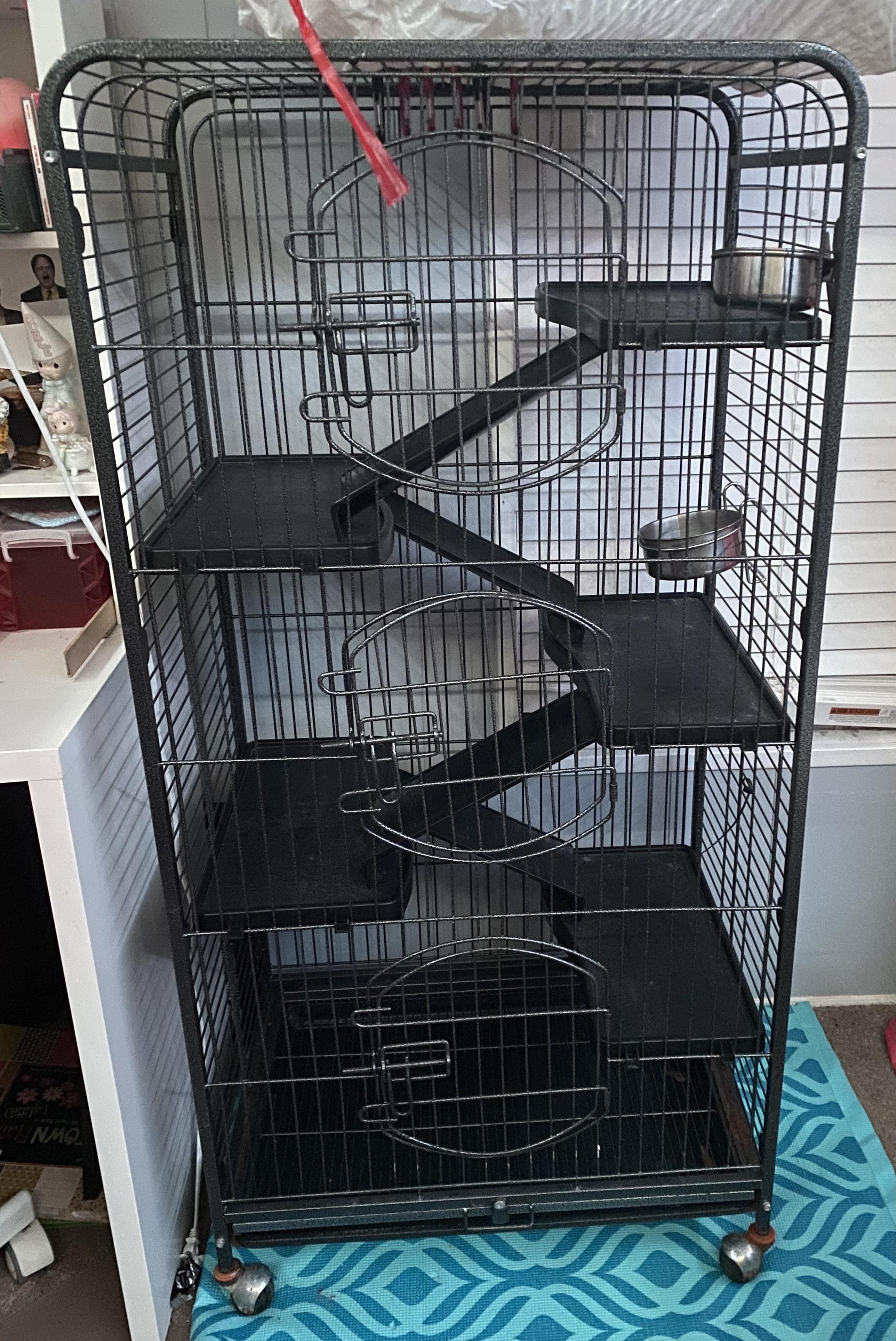 Help with new cage (first time owner)