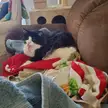 Clean laundry is the best spot for baths