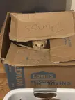 Was cleaning out the closet and left this in the hallway, didn’t take Scully long
