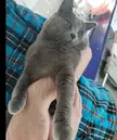 Big cheek baby