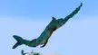 Swordfish Build