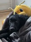 He's right behind me... Isn't he? 
