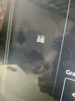 Why does my cursor look like this?