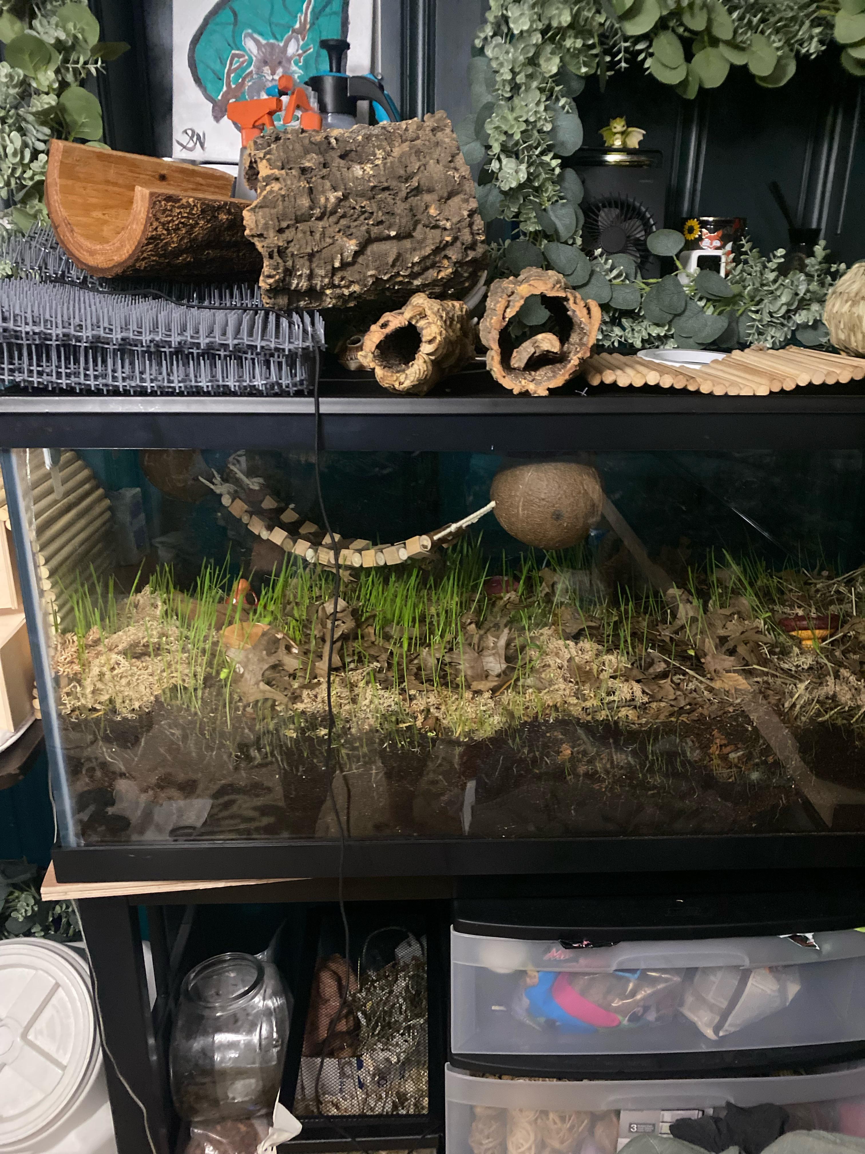 Other bioactive cage