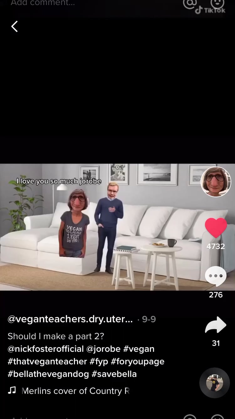 Theveganteacher