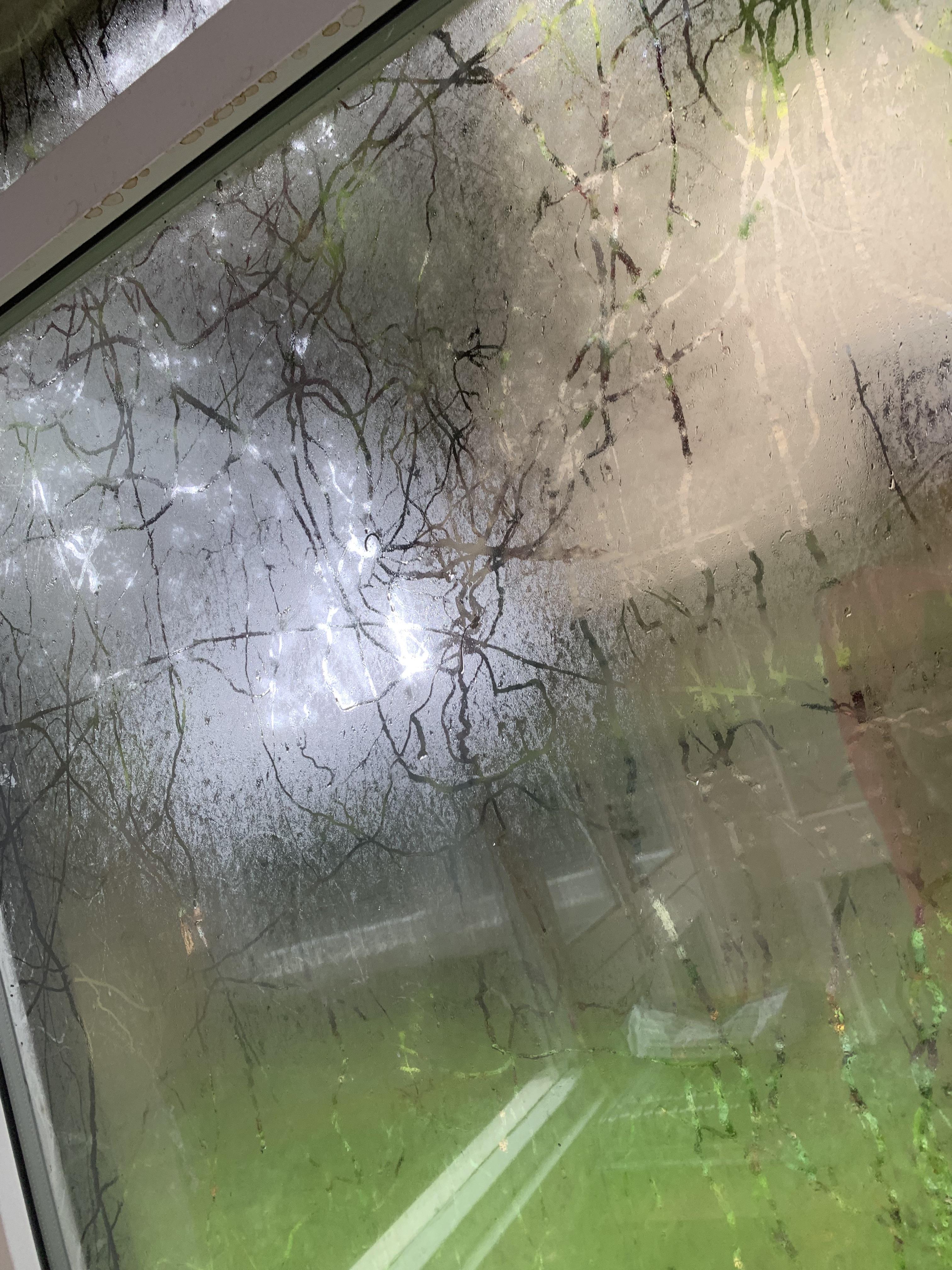 Woke up to these random lines all over the windows