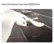 Bro got super lucky 😂
