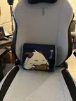 BEST CHAIR EVER. EVEN BETTER WITH SKINS!!!