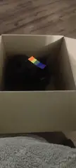 CatsWithHats