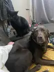 When we are planing and get caught