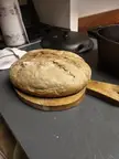 Why does my bread brcome so flat (it was puffy when I put it in the oven)