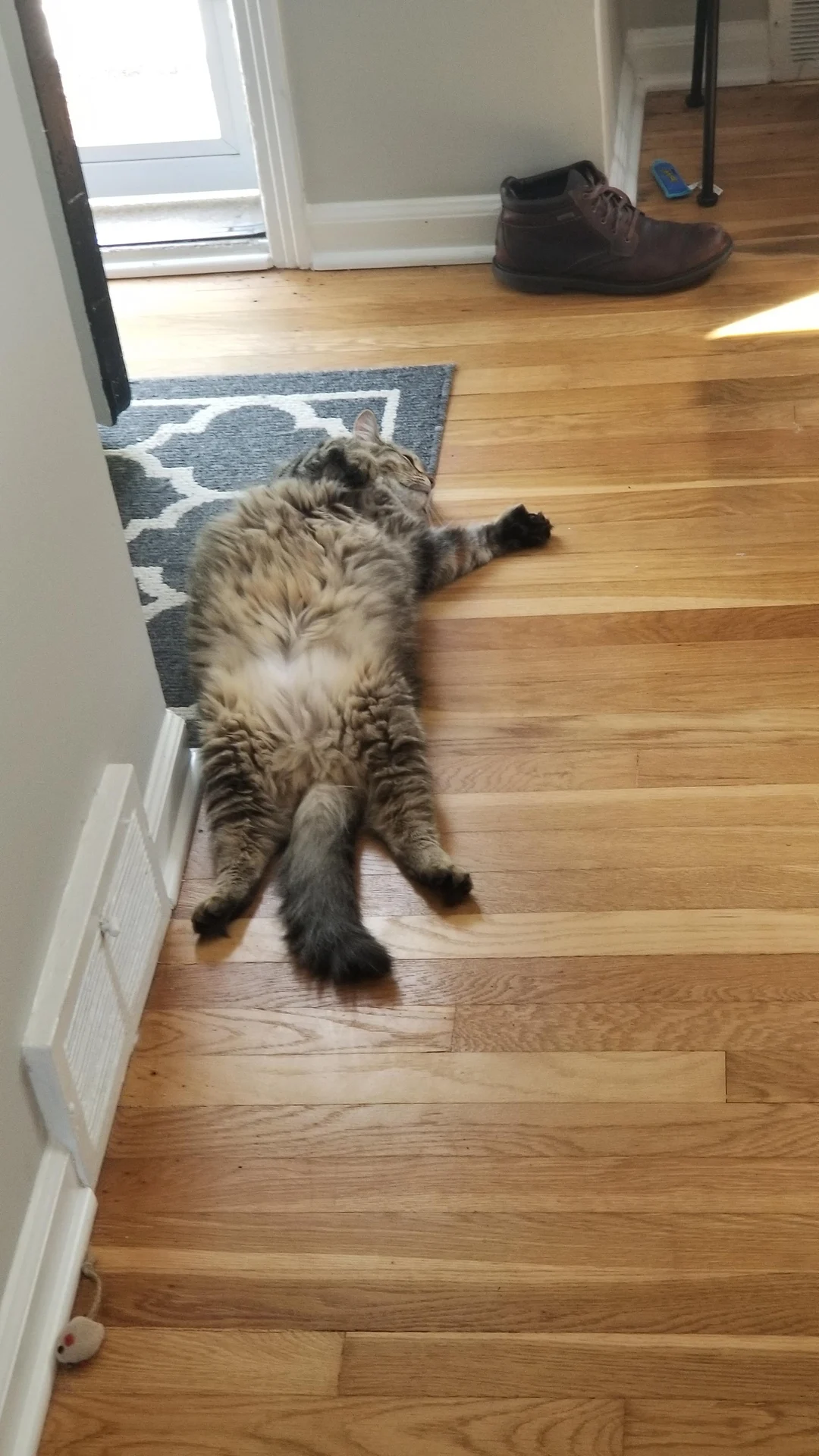 Floofy Artemis with bonus thumbs | Scrolller