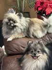 Two is Better Than One!!